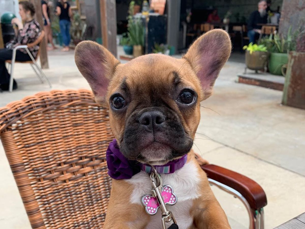 West Orange Vet Hospital 9